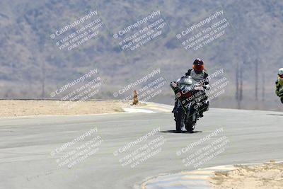 media/Apr-27-2025-BRL Bagger Racing League (Sun) [[7a5f00f0a5]]/5-Bagger GP-Pro Stock-Super Street Race/